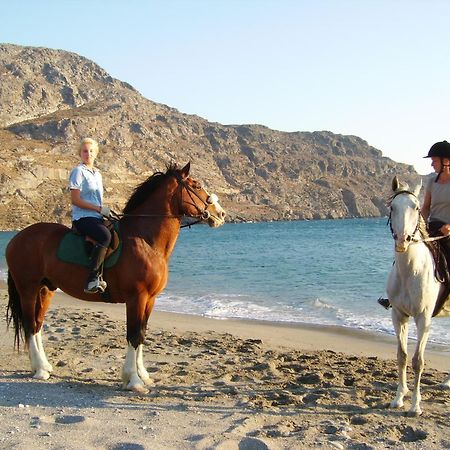 Alianthos Beach Hotel Плакиас Экстерьер фото