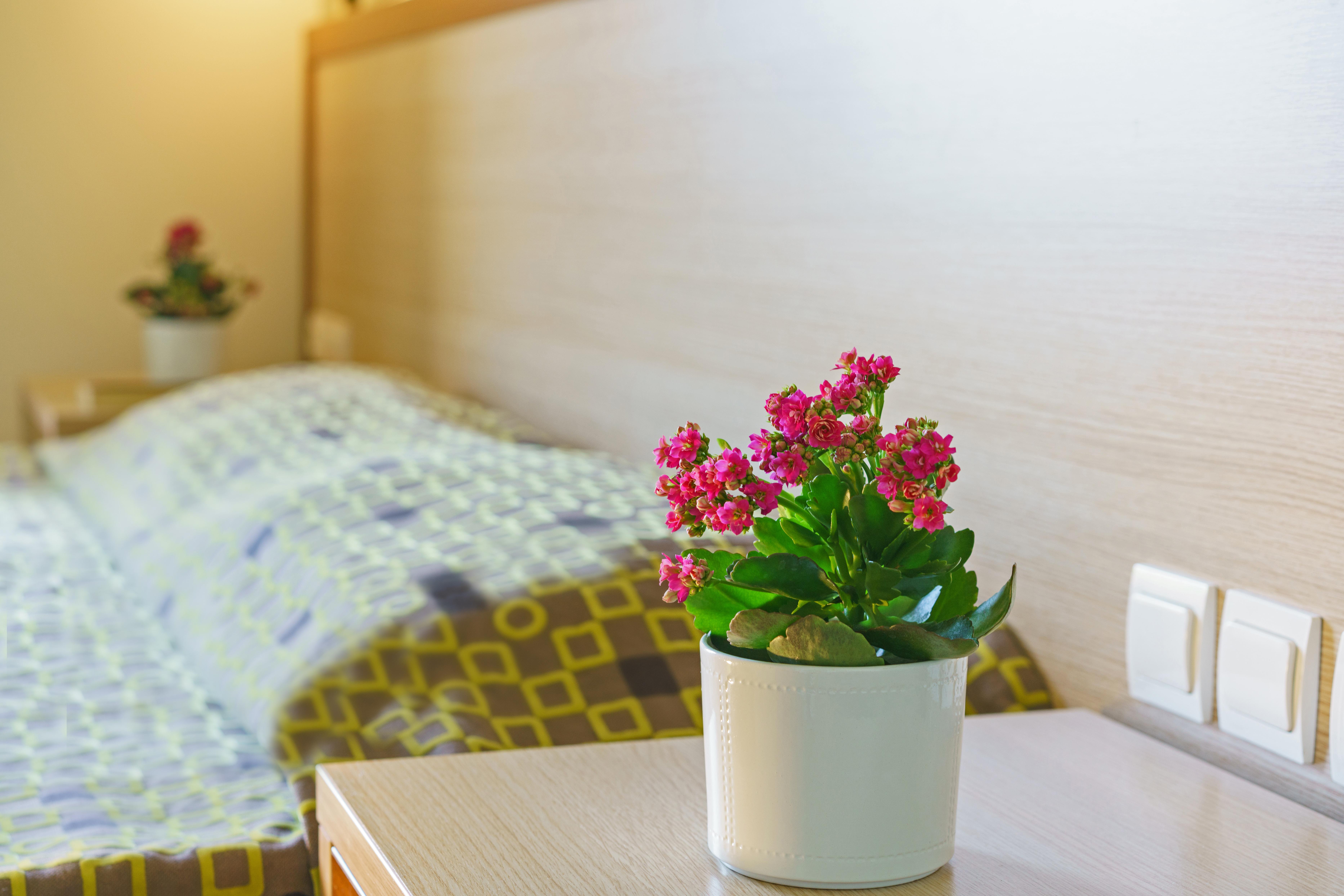 Alianthos Beach Hotel Плакиас Экстерьер фото